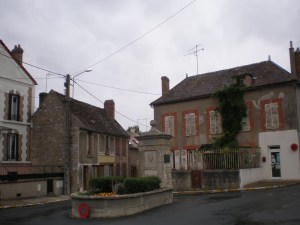 ווילבלווין. צילם: דיויד סטברו.